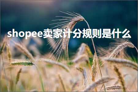 跨境电商知识:shopee卖家计分规则是什么