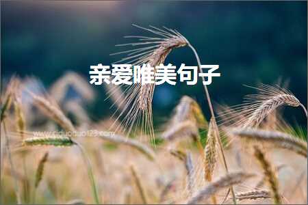 瀹夐潤鐨勬棭鏅ㄥ敮缇庡彞瀛愶紙鏂囨144鏉★級