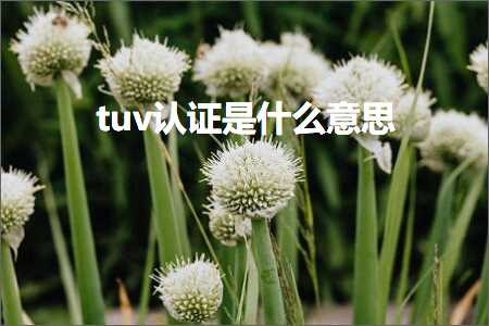 璺ㄥ鐢靛晢鐭ヨ瘑:tuv璁よ瘉鏄粈涔堟剰鎬? width=