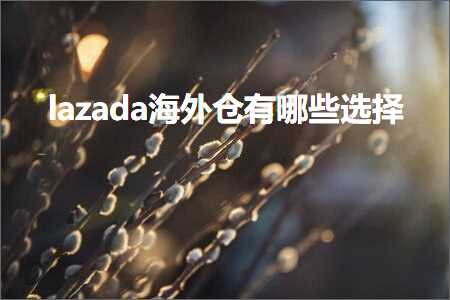 璺ㄥ鐢靛晢鐭ヨ瘑:lazada娴峰浠撴湁鍝簺閫夋嫨