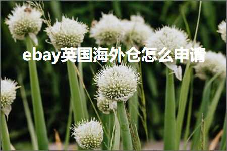 跨境电商知识:ebay英国海外仓怎么申请