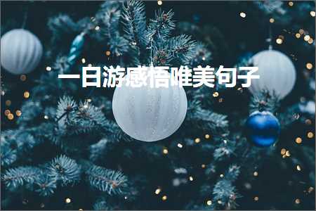 清晨的阳光唯美句子公共号（文案240条）