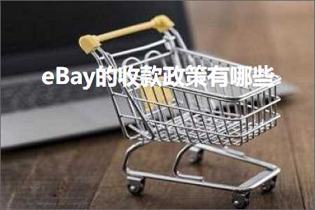 璺ㄥ鐢靛晢鐭ヨ瘑:eBay鐨勬敹娆炬斂绛栨湁鍝簺